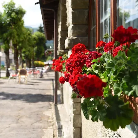 Hotel Bucaneve