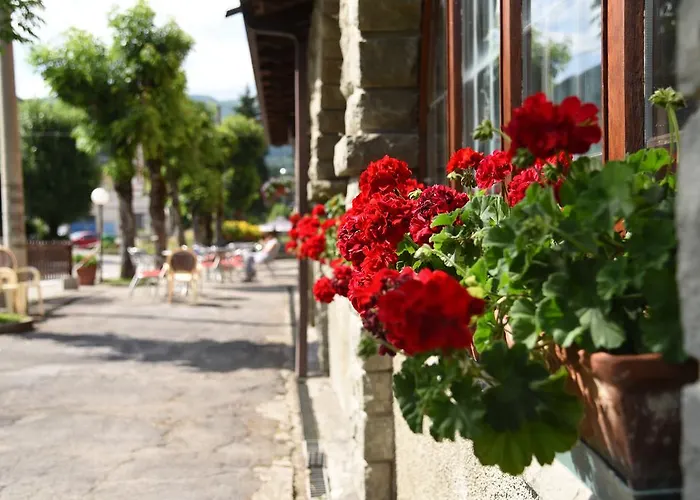 Hotel Bucaneve