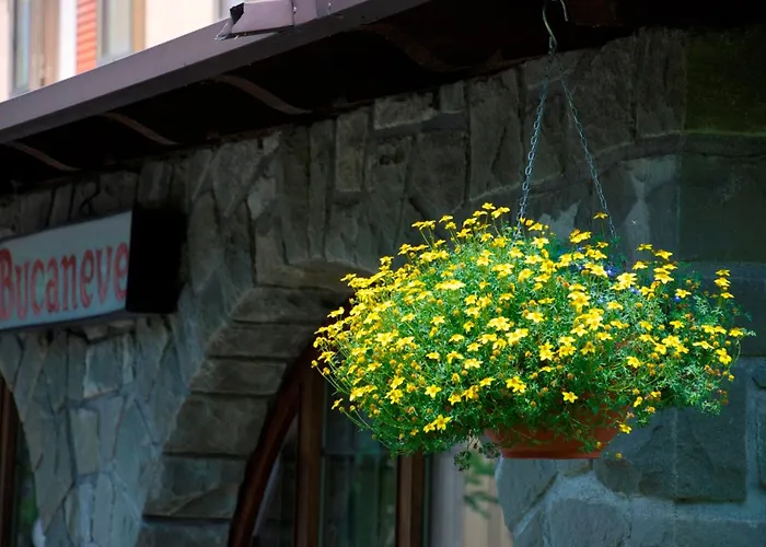 Bucaneve Szálloda 3*